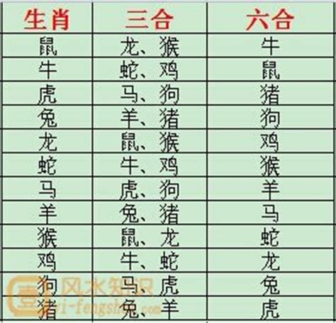 12生肖六合|12 生肖配對的三合，六合，沖六，守衛保護六